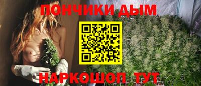 спиды Новодвинск