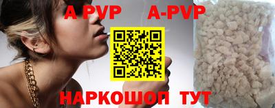 спиды Новодвинск