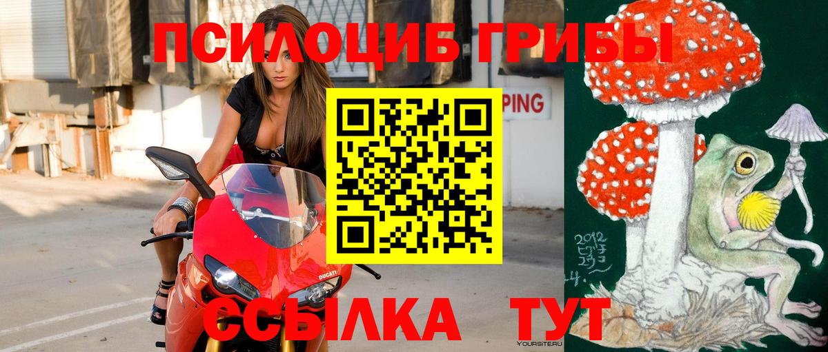 Узловая  Псилоцибиновые грибы GOLDEN TEACHER  Вход с VPN 