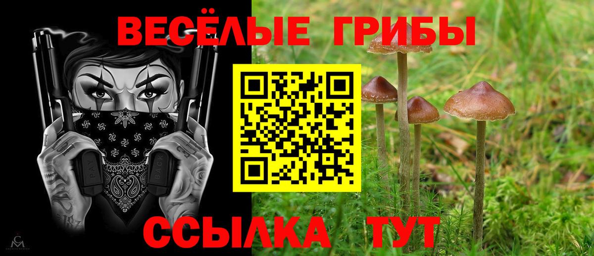 Псилоцибиновые грибы ЛСД Узловая